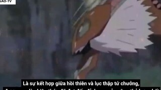 Gia Tộc Hyuga Bạch Nhãn Byakugan _ Bí Ẩn Về Năng Lực Công Thủ Toàn Diện- 9