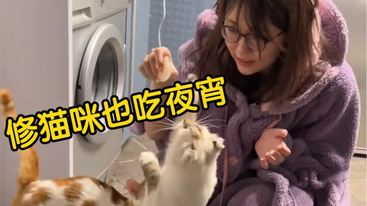 Mmm, I’m hungry—let’s grab a quick snack! Here’s the full “extra meal” instant noodle combo.