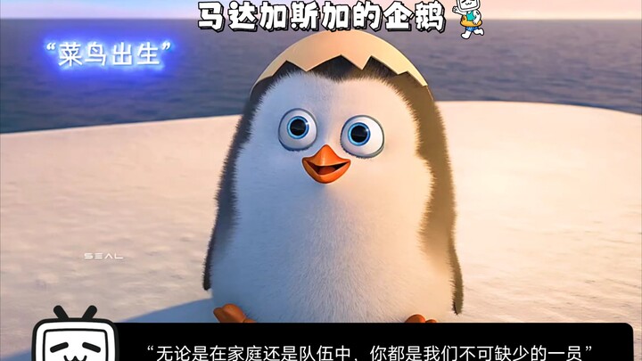 “无论是在家庭还是队伍中，你都是我们不可缺少的一员”