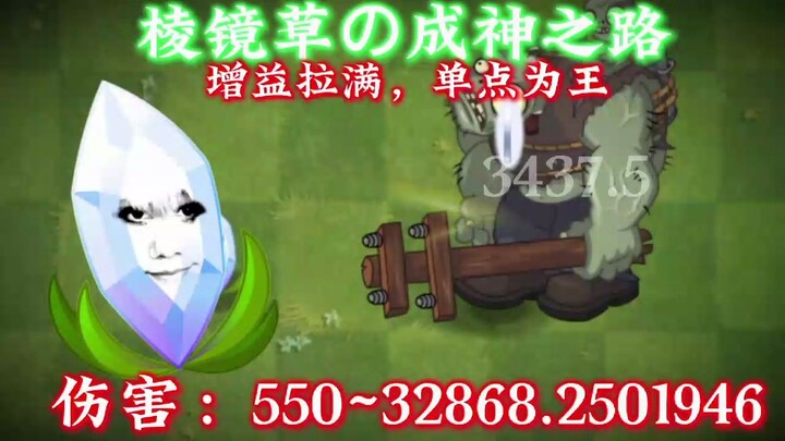 【Tối ưu hóa troll】“Con đường thành thần của cỏ lăng kính”