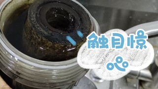 إذا لم تشرب هذا الماء ستموت عطشًا. هل تريد أن تشربه؟