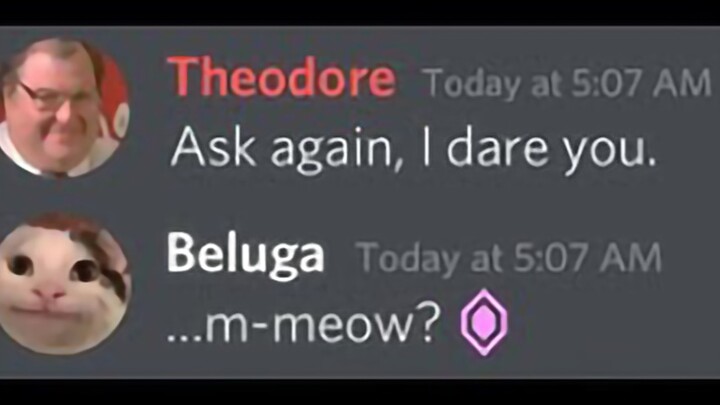 [Beluga dan teman-temannya] Kisah mengerikan seputar hak istimewa obrolan super keren...