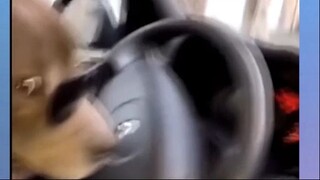 Cười không ngừng được #meme