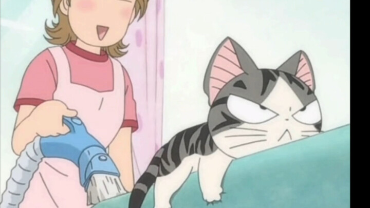 Oh my, the cat-loving tool is actually a vacuum cleaner! Qiqi likes it very much~