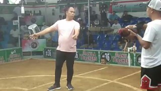 M.O.S manlalayag GF