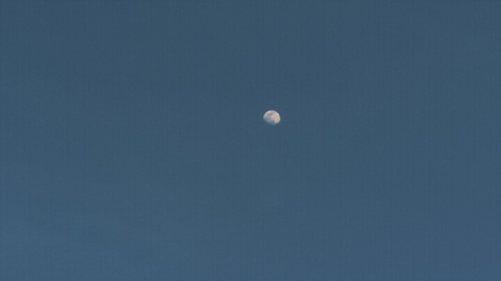 So I bought a camera.