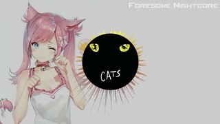 Foregone Nightcore - Mr. Mistoffelees [Cats The Musical] by Andrew Lloyd Webber