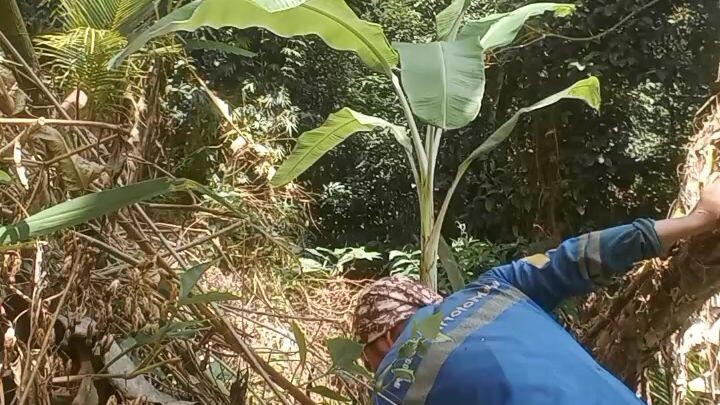 blessing🥰🥰🥰