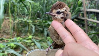 Dia memang jelek, begitu keluar langsung gagal.