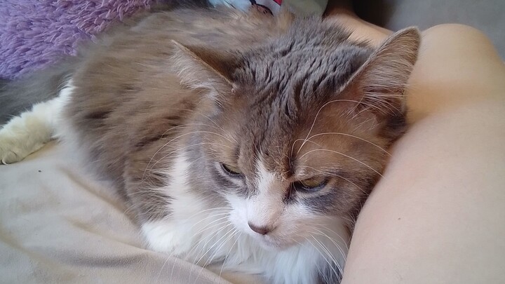 Little Lady Luck Valentine Treat... until she's like 🙄