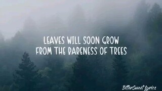 LEAVES- Ben&Ben (lyrics)