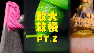 Everyday Objects Magnified and Slowed Down PT.2