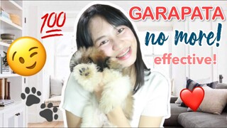 PAANO PUKSAIN AT PATAYIN ANG GARAPATA | GARAPATA TIPID TIPS