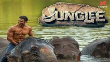 JUNGLEE (2019) Hindi.Untouched.WEB.DL.720p.AVCx264.AAC (Superhit Bollywood Hindi