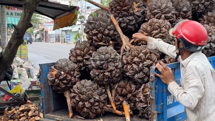 Harvesting Nipa Palm Fruit In The Jungle - Vietnamese Street Food