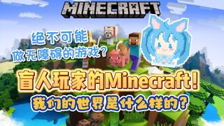 【诺子】视障玩家的Minecraft 我的世界是什么样的？