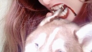 Hachiko Ignoring mamas doing😅