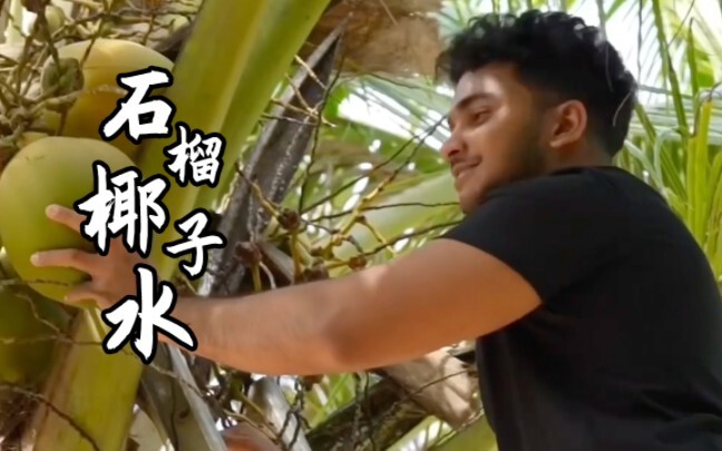 Just being totally wild—making a pomegranate coconut drink right by the beach.