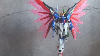 【PoseShow】HGCE New Destiny Gundam