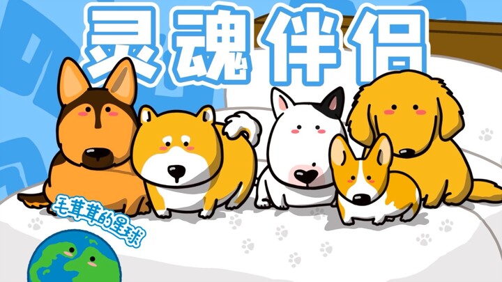 [Dogs] — soulmates that have accompanied humans for tens of thousands of years!