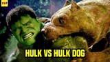 Awal Terciptanya Superhero Hulk - ALUR CERITA FILM Hulk