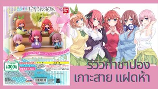 รีวิวกาชาปอง ตัวเกาะสาย แฝดห้า จะน่ารักขนาดไหนมาดูกันเลยจ้า (Gotoubun no Hanayome hugcot  Gashapon)