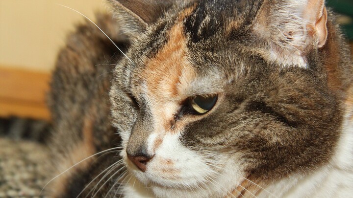 Musiikkilukio hakuvideo