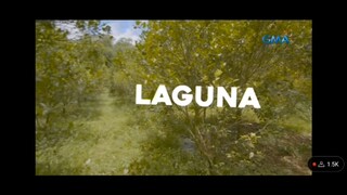 Palakang Ibon o mas kilalang Philippine Night Jar....