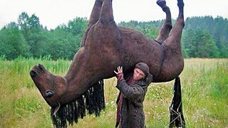 Tổng hợp video thú vị từ nước ngoài, xem xong cảm thấy cả thế giới đều thật vui vẻ! #116