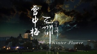 【防弹少年团】用【雪中梅】的方式打开韩剧【鬼怪】