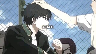 my cute little cat 😁😁