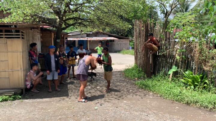 Basta mo sulod impas. GOLD vs DARK RED