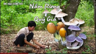 Hái Nấm Rừng, Nấm Mối, Nấm Trứng Gà, Nấm Tràm Của Hai Mùa Qua