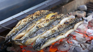 Ẩm thực Nhật Bản - Lợn rừng và Lươn | Street Food