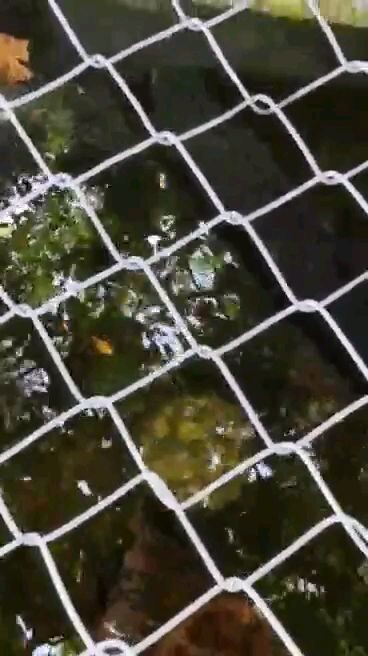 Rảnh rỗi ko có gì quay