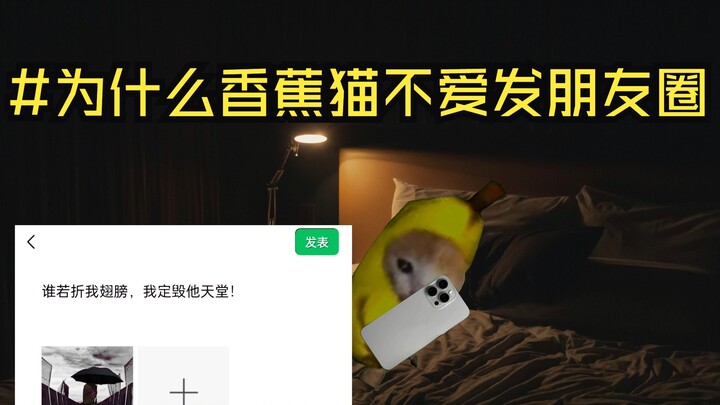 لماذا لا يحب قطّ الموز نشر منشورات على موجز الصديقات؟