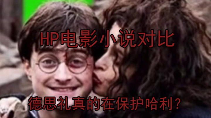 [HP Film vs. Novel] Is the Dursley Really Protecting Harry? A Comparison of the Harry Potter Films a