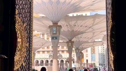 ❤ #shortvideostatus#islamic#shortvideostatus#deeneislam