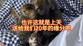 Video ini agak panjang, mohon sabar menontonnya, ini adalah kisah tentang bagaimana kami bertemu den