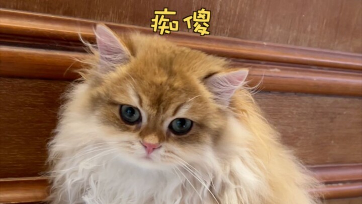 Con cứ thích uống nước kiểu này thì mình biết làm sao đây 😂