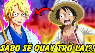 Những Nhân Vật Huyền Thoại Sẽ Quay Trở Lại Trong Tương Lai One Piece