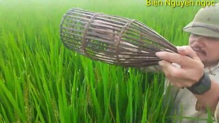 Biển Nguyễn Ngọc.||.Đi Bắt Cá Rô Đồng Về Chiên Giòn.Bữa Cơm Ngon Lành