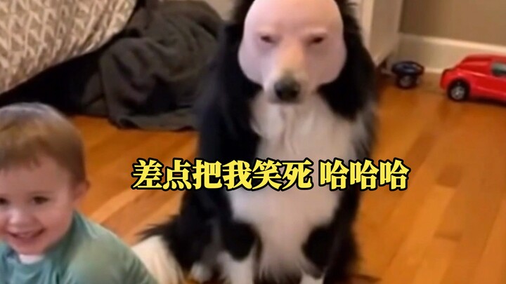 Phiên thứ 31: Dốc hết sức mà vẫn không nhịn được cười