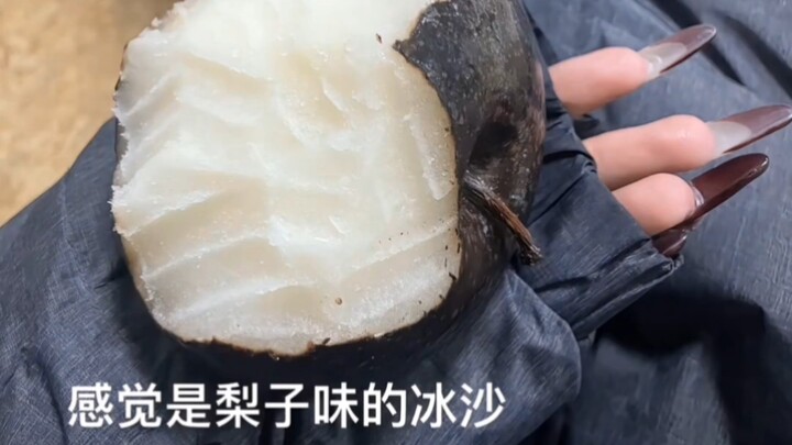 แรงกัดไม่แพ้ไฮยีน่าโตเต็มวัย