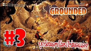 บุกรังมดขโมยไข่มดแดง - GROUNDED #3