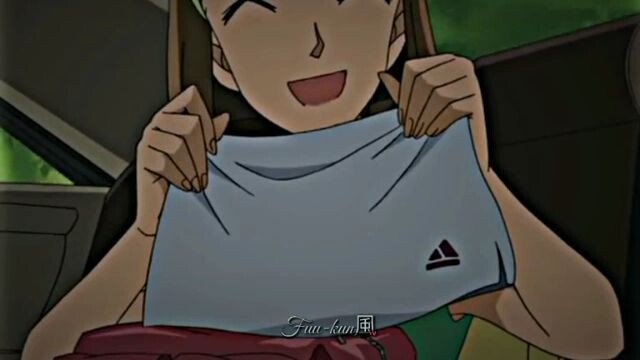 detektive Conan episode 331