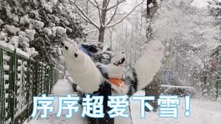 【FurSuit】Xu Xu sangat suka salju turun!