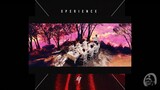 BTS(방탄소년단) X LUHAN - Blood Sweat & Tears/Xperience : Catch me when I fall (MashUp)