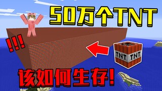 当在我的世界里点燃50万个TNT！整个世界都在爆炸，该怎么生存！