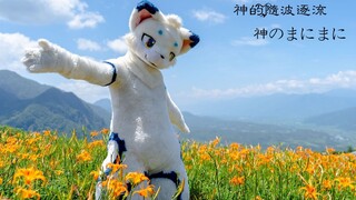 【Fursuit Dance】 【ซีรีย์ถ้วยเล็ก】เทพตามฝูงชน ぎあ